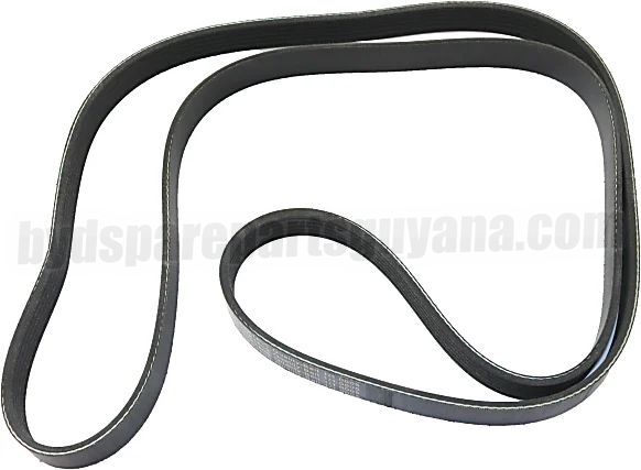 Serpentine Belt BYD Guyana